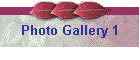 Photo Gallery 1